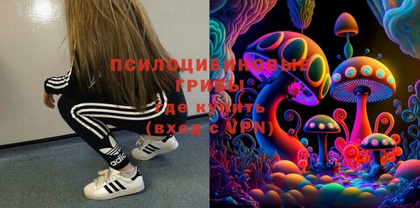 ПСИЛОЦИБИНОВЫЕ ГРИБЫ Алексеевка