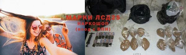 ПСИЛОЦИБИНОВЫЕ ГРИБЫ Алексеевка