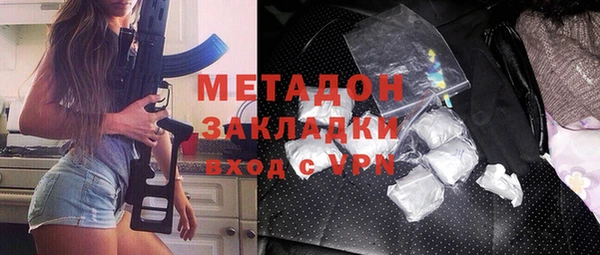 ГАЛЛЮЦИНОГЕННЫЕ ГРИБЫ Дмитриев