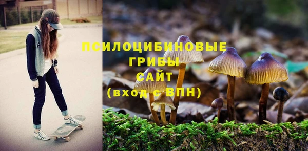 мяу мяу кристалл Алексин