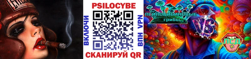 нарко площадка формула  Бронницы  Псилоцибиновые грибы Magic Shrooms 